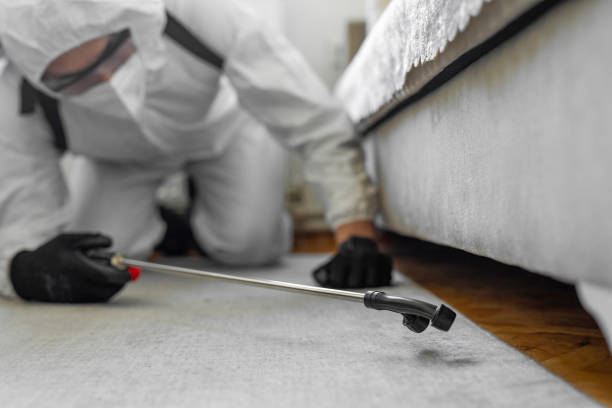 Professional Termite Control technician working in Stevenson, WA